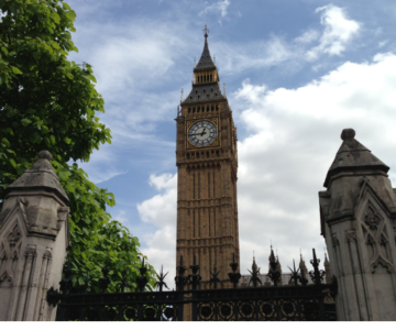 Ace Immigration Services